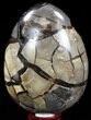 Septarian Dragon Egg Geode - Black Calcite Crystals #34700-2